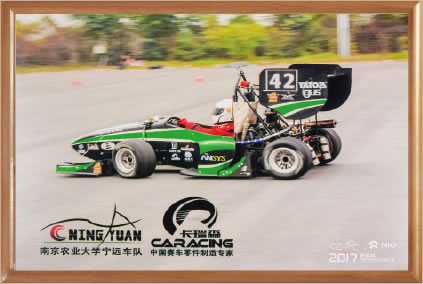 荣誉资质标题五